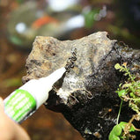 Aquascaping Glue Aquatic Plant
