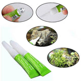 Aquascaping Glue Aquatic Plant