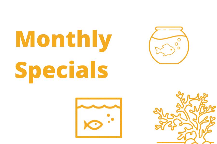 Monthly Special