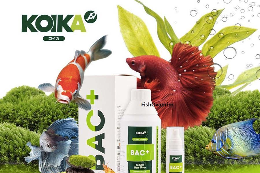 Aquarium Probiotics